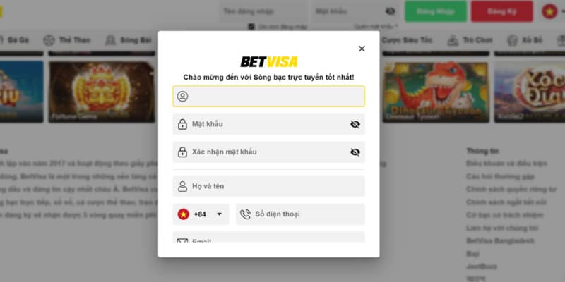 Điền đầy đủ và chính xác thông tin đăng ký betVisa